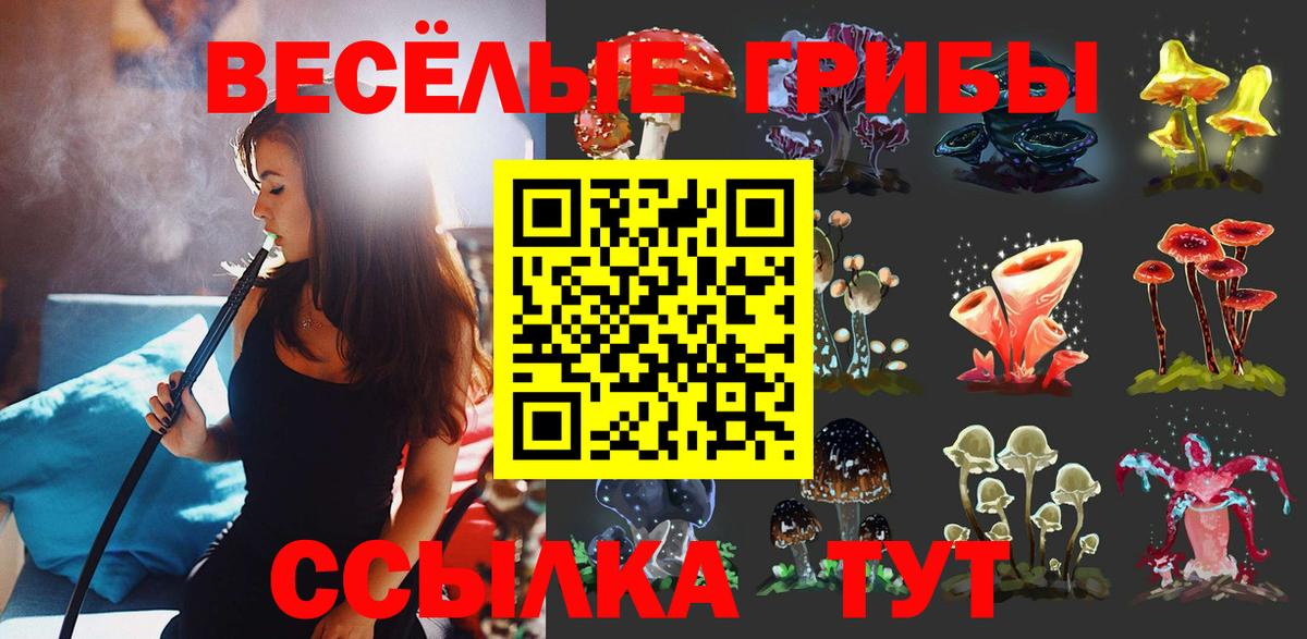 Псилоцибиновые грибы Magic Shrooms  Вход с VPN  Кириши  Псилоцибиновые грибы GOLDEN TEACHER 