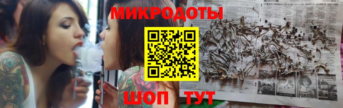 ГАШ Кириши