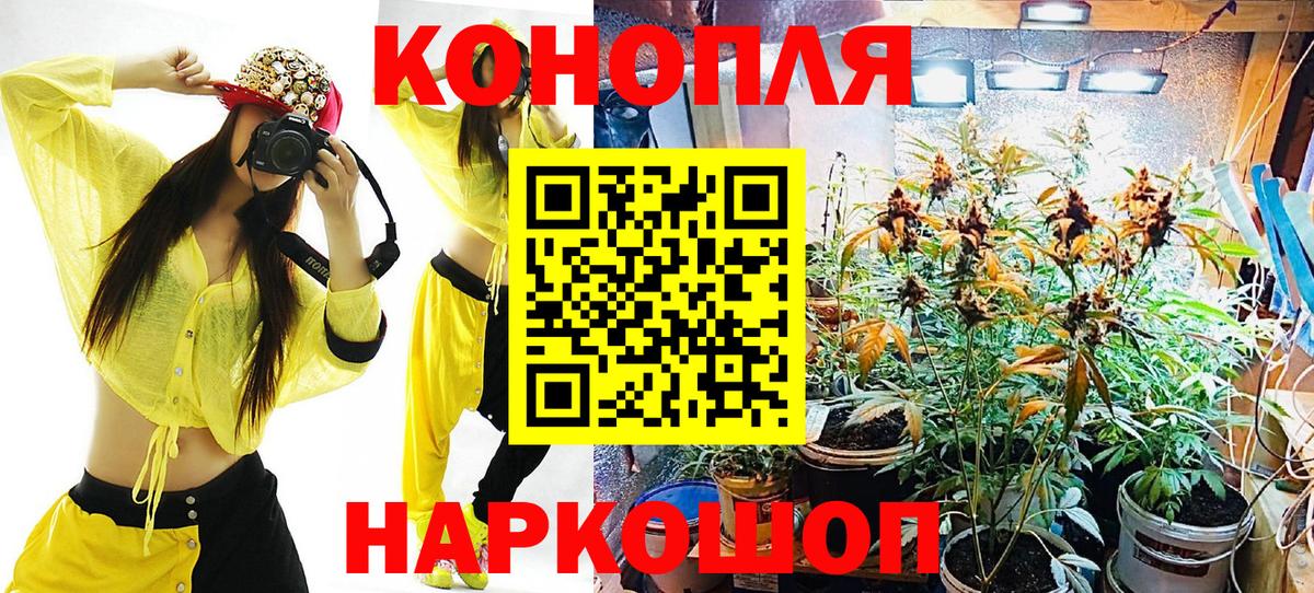 Бошки Шишки Amnesia Кириши